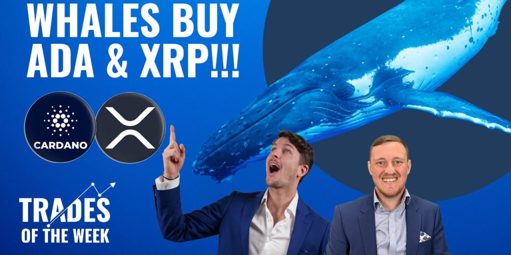 Whales-buy-ADA-and-XRP-blog-copy